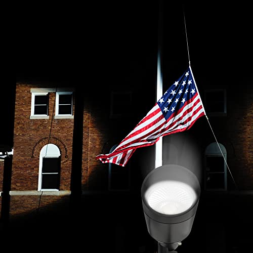 J.lumi Gbs9815 Led Outdoor Spotlight With Stake, 15W Ac 120V, Metal Spike Stand, 5000K Daylight, 60-Degree Focused Beam, Flag Lights, Spotlight For Flag, 4-Ft Cord Ul-Listed With Plug, Not Dimmable #TOP2