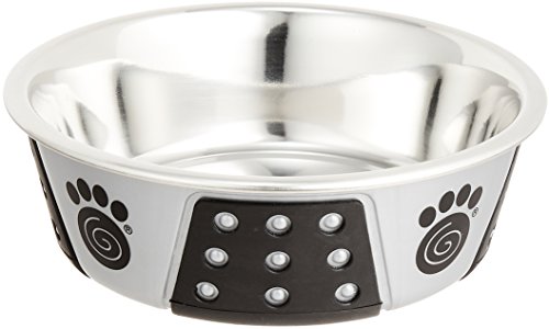 Pet rageous designs 犬用食器 フィジーボウル シルバー S サイズ Sサイズ