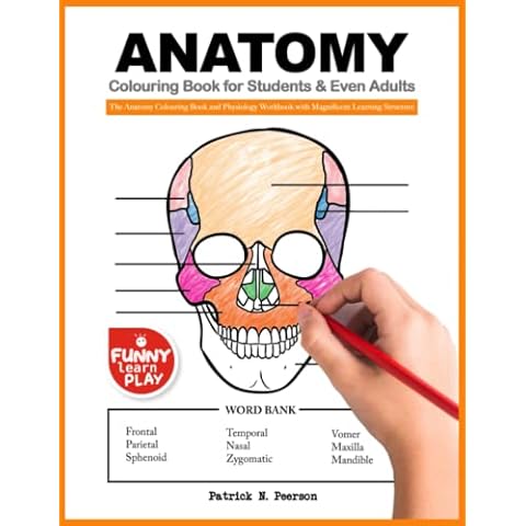 Anatomy Colouring Book for Students & Even Adults Cover