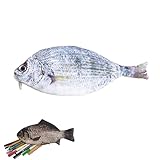 Estuche para lápices con forma de pez de simulación de 1/2/3 piezas, interesante bolsa para bolígrafos de pescado, monedero divertido con espuma gruesa acolchada, suministros de oficina escolar