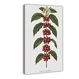 BFTIUTG Póster retro botánico y de frutas para decoración de cocina, 5 lienzos, decoración de dormitorio, paisaje, oficina, habitación, regalo, 50 x 75 cm