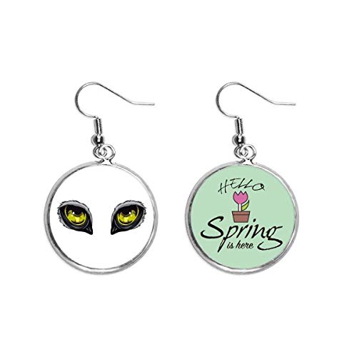 Pendientes de búho con ojos de cristal joya colgante de primavera 1