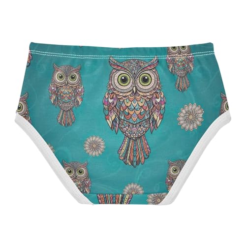 Cotton Toddler Girls Underwear Vintage Cartoon Owls Floral Blue Panties Little Girl Personalized Underpants Briefs 2t2