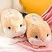 Chaussons Femme Hiver Mignon Dessin Animé Hamster Design Maison Pantoufles Femmes Fourrure Pantoufles-Gris Rose Marron Hiver Chaud Dames Peluche Chaussures Taille Unique Filles Moelleuses Toboggans,
