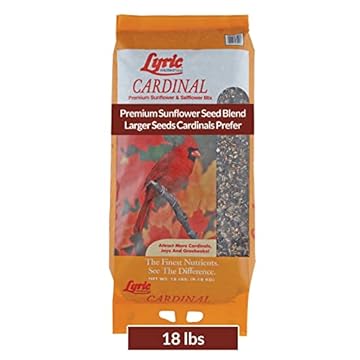 best bird seed for cardinals and blue jays that will attract them instantly 2 best bird seed for cardinals and blue jays