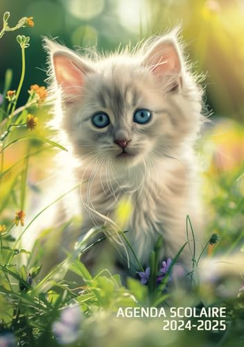 Agenda scolaire 2024-2025 Journalier Chat chaton: Petit format poche 12x17 cm - 1 page par jour - Primaire, collège, lycée, étudiant - Original - Fille - Année scolaire du 2 sept. au 5 juillet - Chats