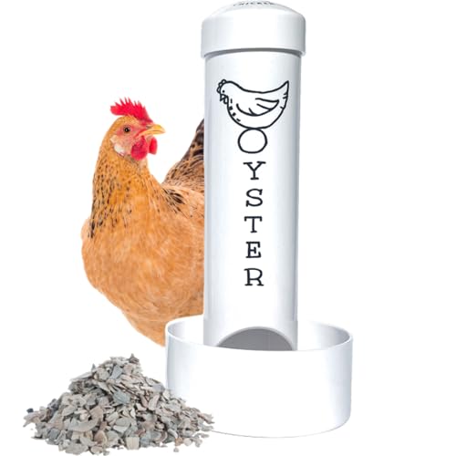 Oyster Shell Feeder for Chickens
