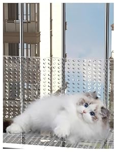 Generisch Balkonschutz Lochplatte DPOPCBTOL-W105xH500cm