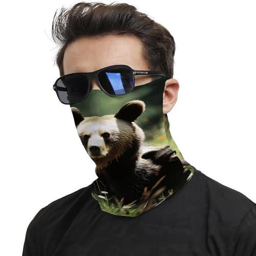 Neck Gaiter Mama Bear Face Mask for Travel Face Cover Scarf for Men Women Elastic Headbands Wind-proof Bandana for Skiing Fishing Hiking Cycling2