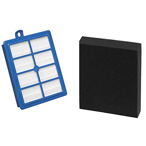1 filtre HEPA + 1 filtre en mousse lavable USK11A Compatible avec Electrolux UltraFlex ZUF4201OR ZUF4202OR ZUF4203PET ZUF4204REM ZUF4205AF ZUF4305AF ZUF4206DEL ZUF4206ACT 9001677112 1924993296 Cover