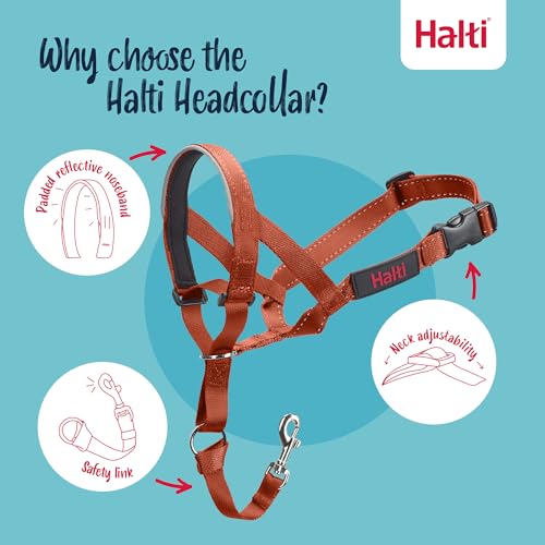Image of Halti Headcollar for Dogs | Size 1, Burnt Orange | Stop Your Dog Pulling on the Leash | Adjustable, Reflective, Lightweight | Padded Nose Band | Training Collar for Small Dogs