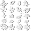 20 Pieces Large Size Anti-Collision Window Clings Assorted Leaf Shapes Stickers Transparent Alert Bird Window Decal Prevent People and Bird Strikes on Window Glass