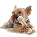 MERIC Dog Bone for Small Dogs - Wooden Bone Chew Toy for Puppies by 100% Natural Solid Wood Chew Treat - Dental Bone & Dog Training Tool - Keeps Teeth and Gums Healthy - for Puppies’ Oral Care