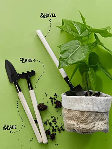Bombay Greens Mini Gardening Tools Kit for Home Garden | Wooden Handle Garden Tools Set of 3 - Shovel, Spade & Rake in an Eco-Friendly Cloth Pouch