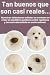 Imagen de Living Nature Cachorro de Labradoodle
