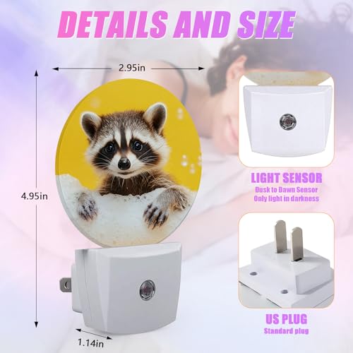 Image of Cute Raccoon Night Light Animal Night Lights LED Lamp Round Plug into Wall Nightlight with Dusk to Dawn Sensor Home Hallway Stairway Kitchen Decor