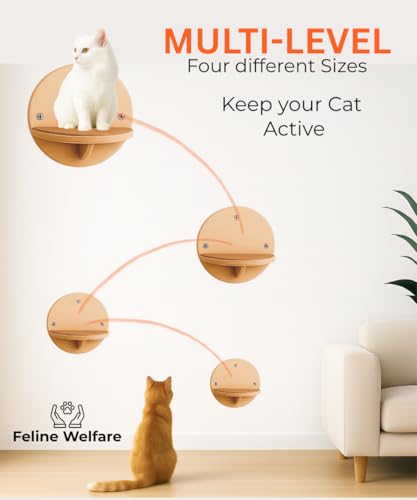 Set de 4 repisas redondas de pared para gatos en madera natural miniatura 2