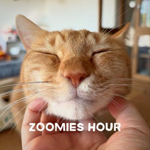 #036 我こそは猫変態！猫の好きな部位/猫のあれこれ測ってみた