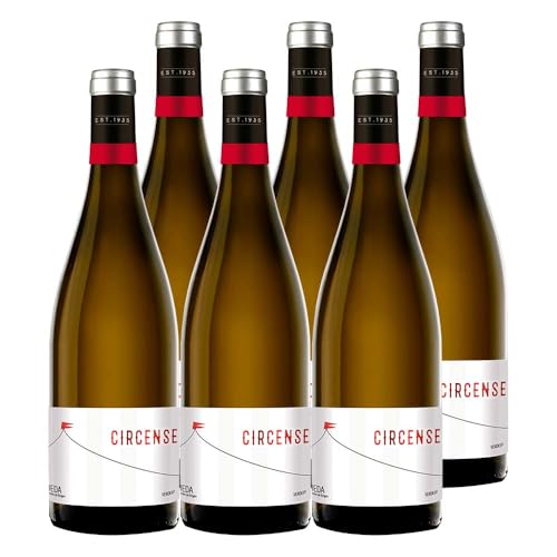 Circense Verdejo - Vino Blanco DO Rueda (6 Botellas x 750ml)