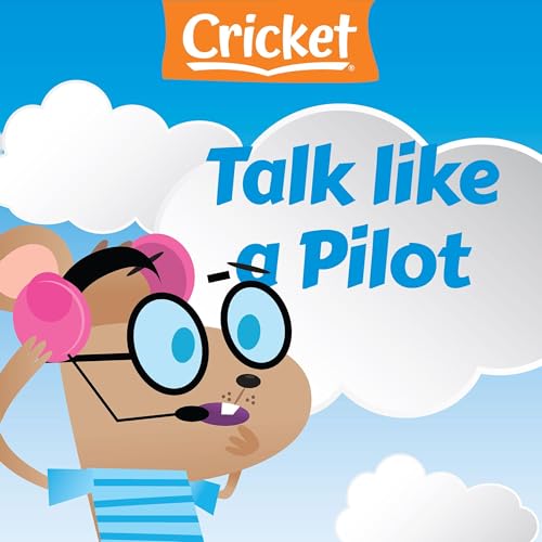 Talk Like a Pilot by Amy Tao episode artwork