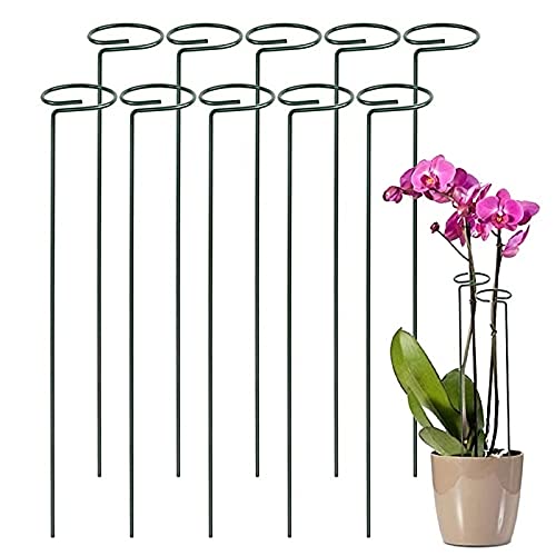 Preisvergleich Produktbild 10 Stücke Pflanzenstütze Blumenstütze, Pflanzenstütze Rund für Blumen, Strauchstütze, für die Asttraktion von Winde, Lilie, Tomate und Anderen Pflanzen