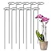 Produktbild 10 Stücke Pflanzenstütze Blumenstütze, Pflanzenstütze Rund für Blumen, Strauchstütze, für die Asttraktion von Winde, Lilie, Tomate und Anderen Pflanzen