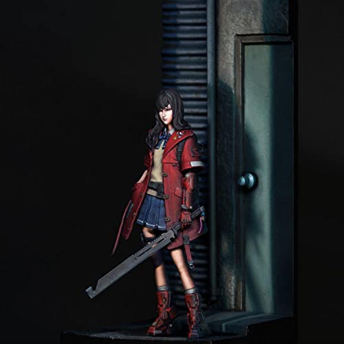 Figura de resina 1/24 Sadashi The Raider sin montar miniatura 3