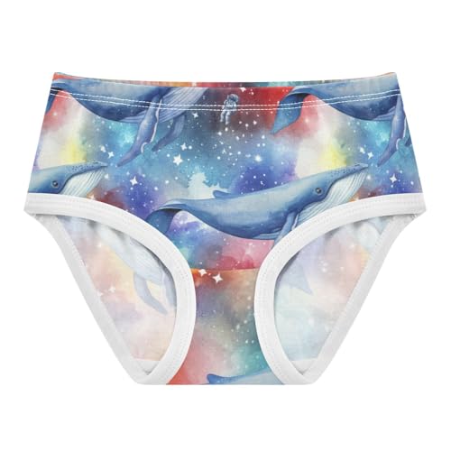 Joisal Galaxy Whales Rainbow Gradient Girls Underwear Toddler 2t Cotton Panties for Girl Fancy Briefs Underpants