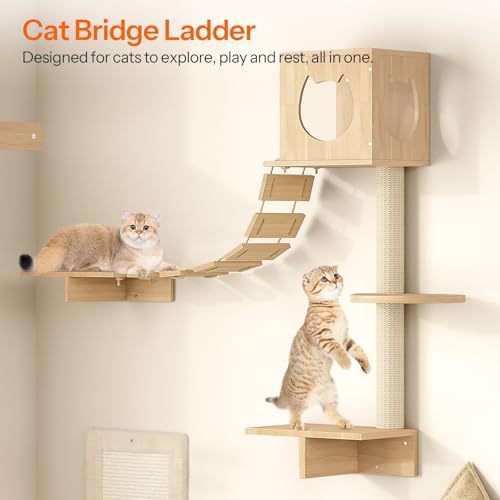 Estante de pared para gatos HOOBRO moderno set 5 piezas miniatura 6