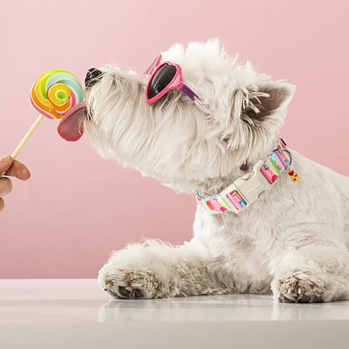 ARING PET Summer Dog Collar-Cute Popsicle Dog Collar for Small Dogs, Adjustable Multicolor Ice Cream Pet Collars Puppy Collar for Small Medium Large Dogs — view 4
