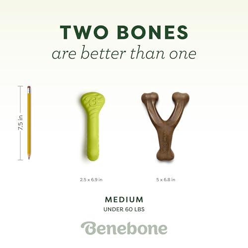 Image of Benebone Bacon Wishbone /Rubber Bone Medium, 2-Pack