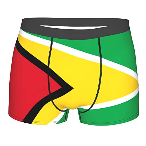 Florida Flag Mens Boxer Briefs Underwear Breathable Stretch Boxer Trunk with Pouch for Men, Youth