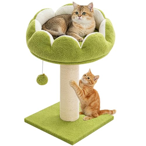 Kilodor Flower Cat Scratching Post for Indoor Cats Scratcher with Perch