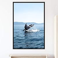 Framed Canvas Wall Art Fish on The Surface Bedroom Dolphin Marine Life Multicolor Nautical Photography - 16x24 inches