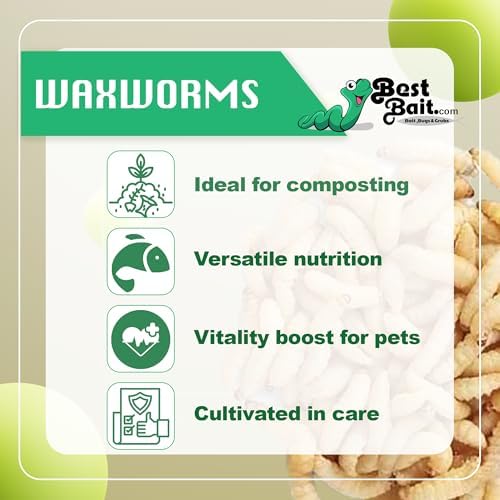 BESTBAIT 50 Count Premium Live Waxworms for Reptiles, Birds, Amphibians & Fishing Bait - High-Protein, Calcium-Rich Soft-Bodied Larvae - Ideal for Bearded Dragons, Geckos, Chickens & Trout