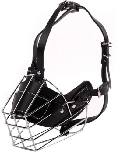 Yellowantg[jOA\A֕یASŖŁAށAr߂Aîh܂ (L,ubN)