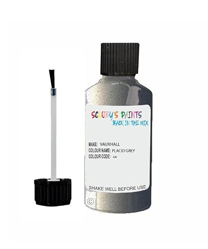 Scoobys Paints Back In The Mix Placid Grey Touch Up Paint For Vauxhall Gje Metallic