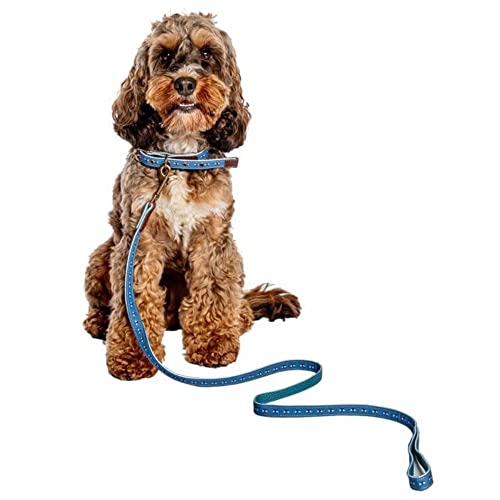Fatface Spotty Bees Woven Genuine Leather Trim Metal Buckle Blue Dog/Puppy Lead Small 15mm 120 cm