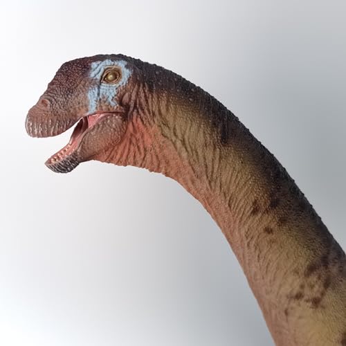 Dinosaure argentin AMITD 1:35 décoration salon et bureau Couleur B - 6