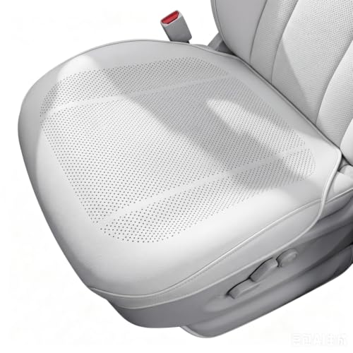 Fundas para Asientos Delanteros de Coche: Protege tu Tapicería con Piel Negra