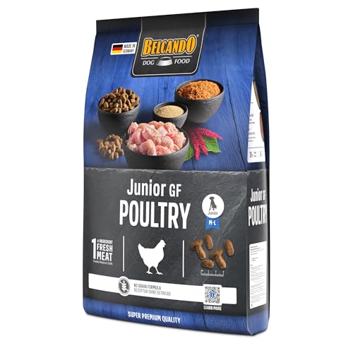 BELCANDO Junior GF Poultry [4 kg] getreidefreies Hundefutter | Trockenfutter ohne Getreide für Junge Hunde | Alleinfuttermittel für Hunde ab 4 Monaten