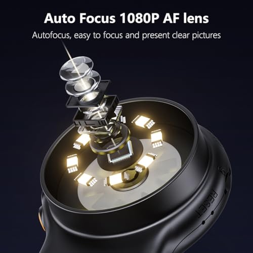 Microscope numérique haute définition écran IPS pliable pour identification