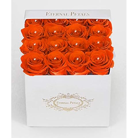 Real Roses That Last A Year - 16 roses in a White Flower Box with 16 Swarovski Crystals (Orange) Cover