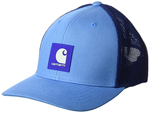 Carhartt mens Rugged Flex Twill Mesh Back Logo Patch Baseball Cap, Blue Lagoon, One Size US