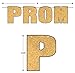 Beistle Prom Streamer