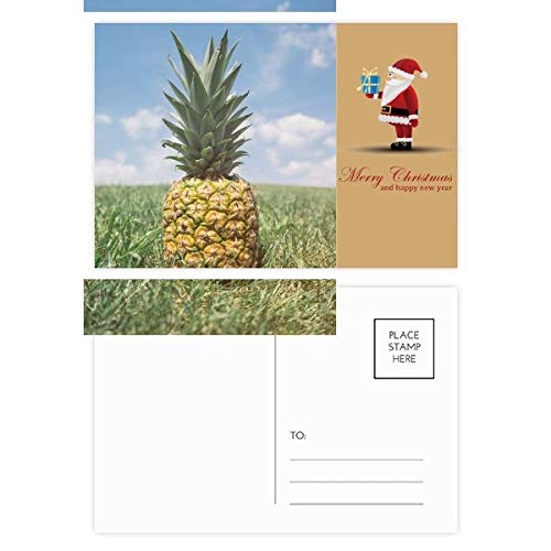 Cartes postales Père Noël fruits tropicaux frais correspondance vœux originaux x20