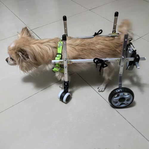 Fauteuil roulant pour chien : soulager la paralysie avec ce chariot à 4 roues réglable