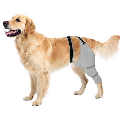Image of Dog Sleeve for Rear Legs to Stop Licking, Upgraded Recovery Sleeve for Hind Back Leg Wounds,TPLO, ACL Surgery, Light Comfortable Cone Alternative, Right,2XL, Grey