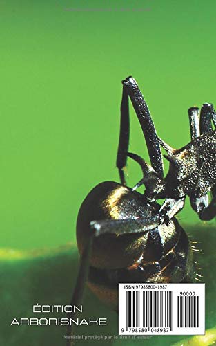 carnet de suivi fourmis: à compléter-carnet de suivi-fourmilière-soins-arborisnake-messor barbarus-n
