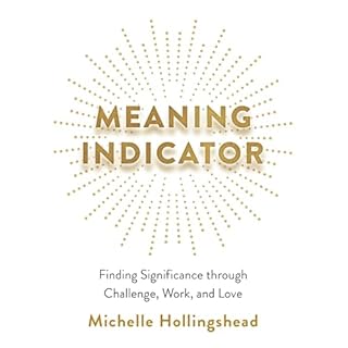 Meaning Indicator Audiolibro Por Michelle Hollingshead arte de portada